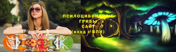 амф Аркадак